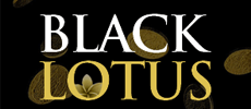 Black Lotus Casino Bonuses
