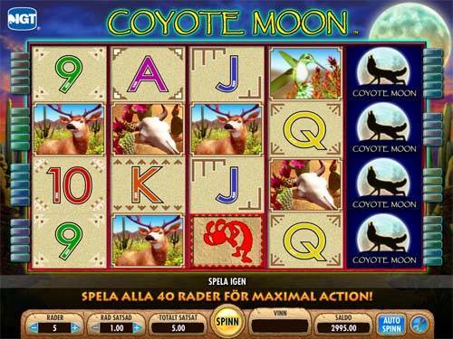 Coyote Moon Casino Game