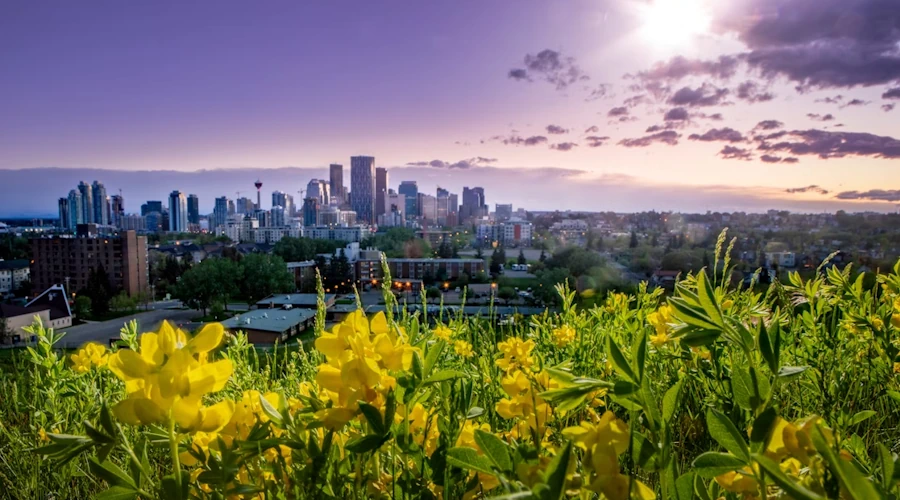 Casino market regulations in Alberta Canada