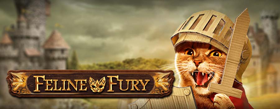 Feline Fury slot review