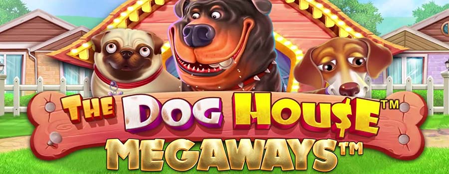 The Dog House Megaways slot review