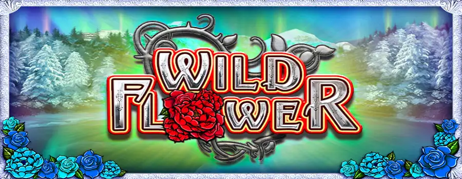 Wild Flower slot review