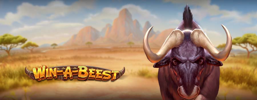 Win a Beest slot review