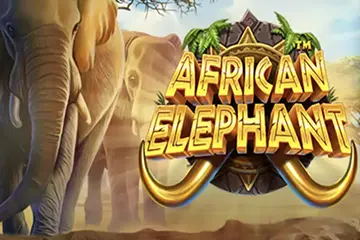 African Elephant slot free play demo