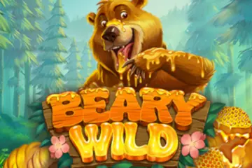 Beary Wild slot free play demo