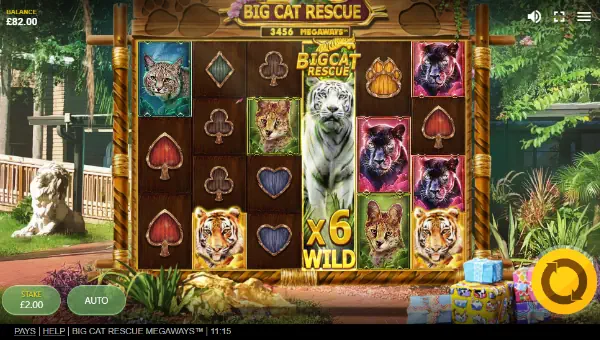 Big Cat Rescue Megaways base game review
