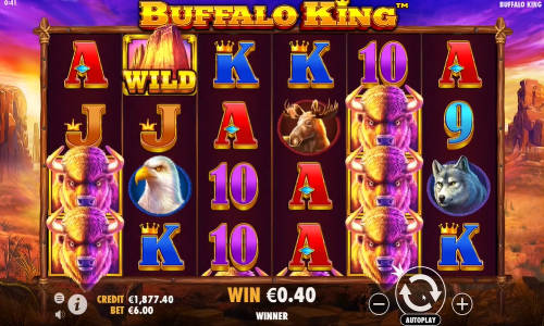 Slot buffalo machine