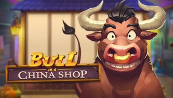 Bull in a China Shop base game review