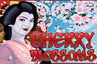 Cherry Blossoms slot free play demo