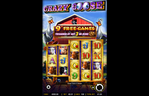 Crazy Goose base game review