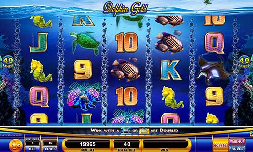 Dolphin Gold base game review