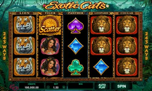 Exotic Cats base game review