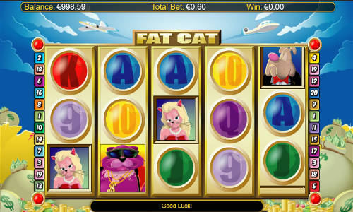 fat cat review