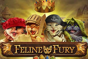 Feline Fury slot free play demo