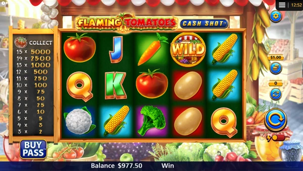 Flaming Tomatoes Cash Shot base game review