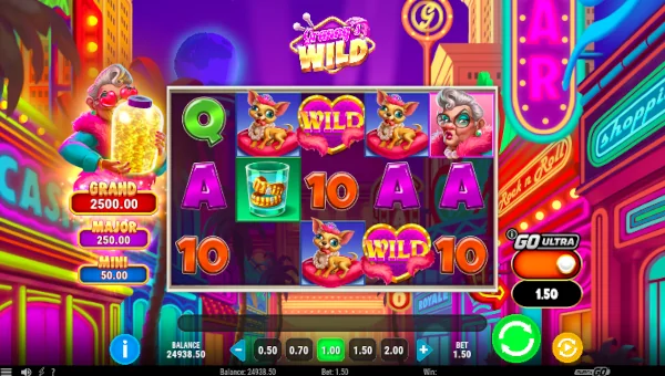 Grannys Wild Base Game Screenshot – Showing Features