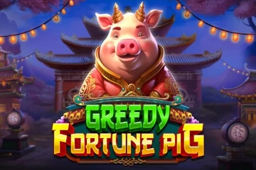 Greedy Fortune Pig