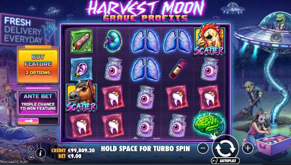 Harvest Moon Grave Profits Base Game Screenshot – Showing Features