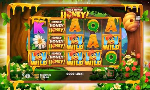 Honey honey honey slot machine