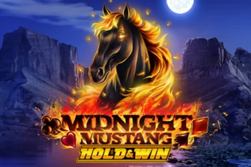 Midnight Mustang