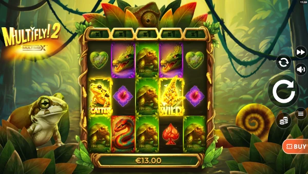 MultiFly 2 Base Game Screenshot – Showing Features