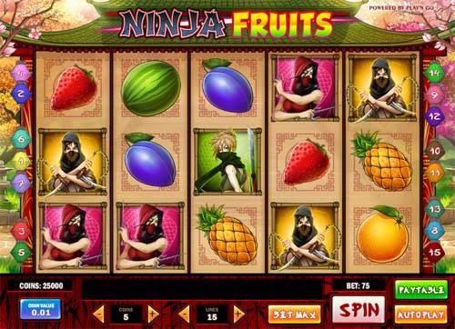 Ninja Fruits slot free play demo