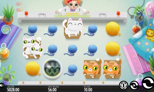 Not Enough Kittens base game review