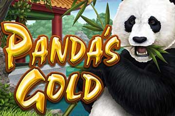 Pandas Golds