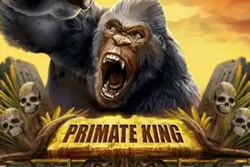 Primate King slot free play demo