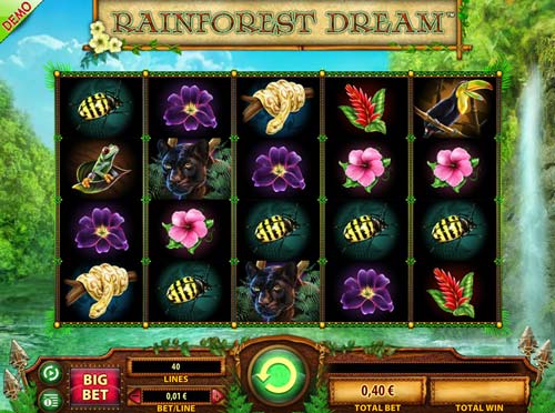 Rainforest Dream base game review