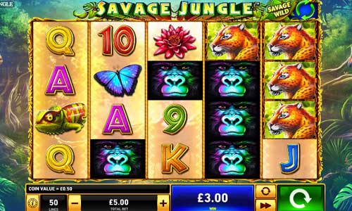 Slots Jungle Review