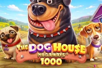 The Dog House Megaways 1000 Slot Game