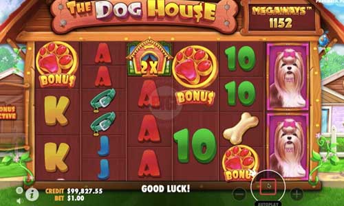 the dog house megaways slot overview and summary