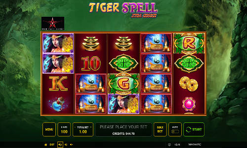 Tiger Spell Xtra Choice slot free play demo is not available.