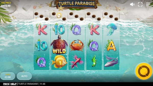 Turtle Paradise base game review