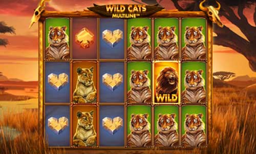 Wild Cats Multiline base game review