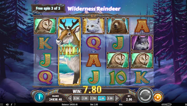 Wild North Radiant Skies Bonus Game – Free Spins Features