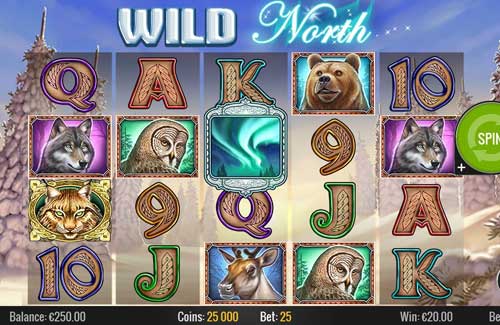 Wild North base game review