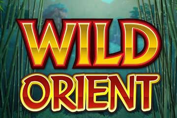 Wild Orient slot free play demo