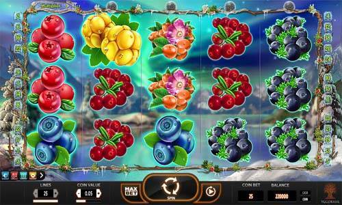 Winterberries slot poker