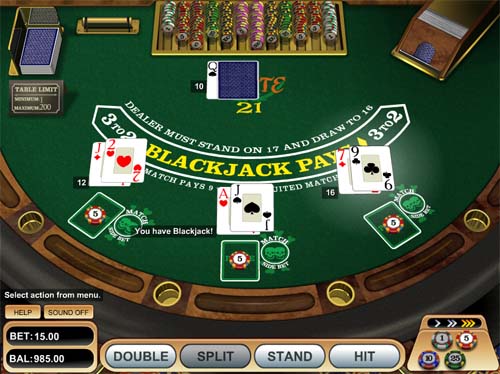 Pirate 21 Blackjack screenshot